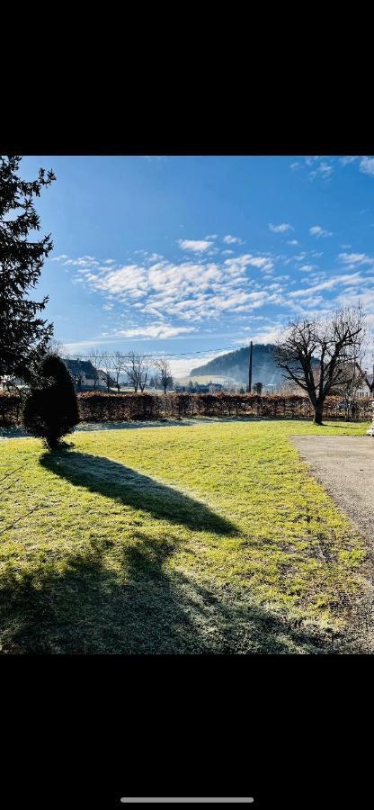 Appartement En Rez-De-Jardin Autrans-Meaudre-en-Vercors Esterno foto